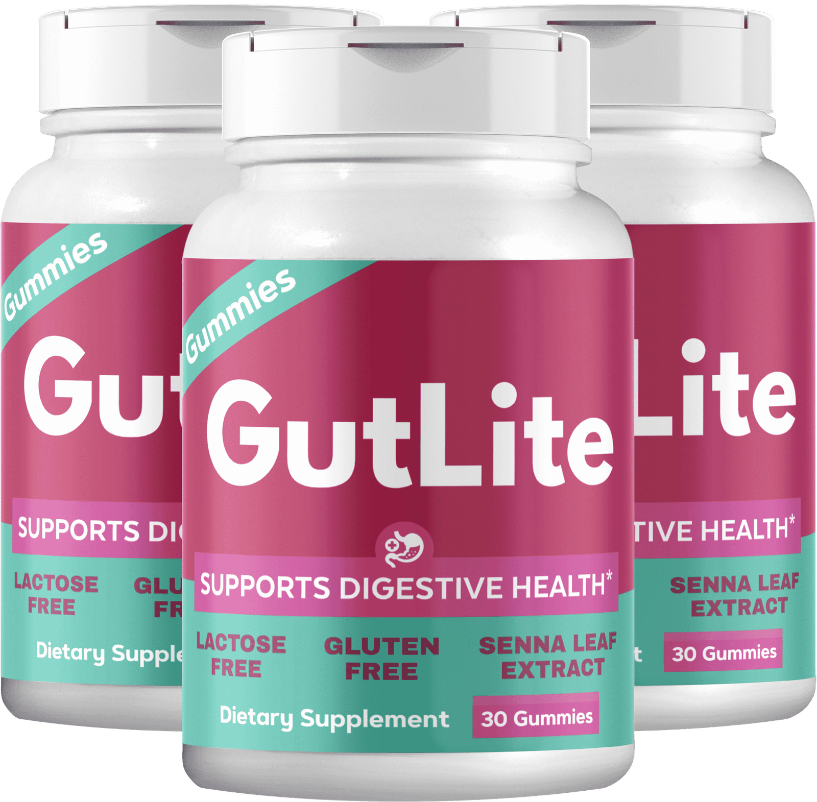  Introducing gutlite